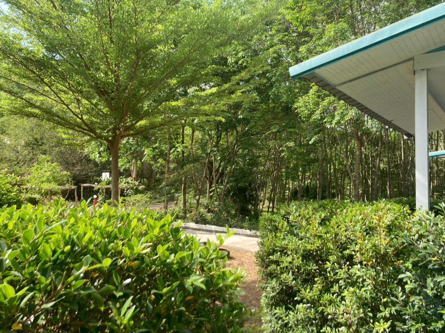 Baan Seefa Homestay Kohyaoyai Яо-Яй Экстерьер фото
